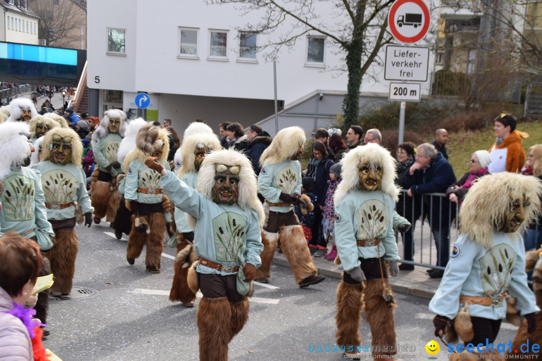 Grosser Narrensprung: Friedrichshafen am Bodensee, 02.03.2019