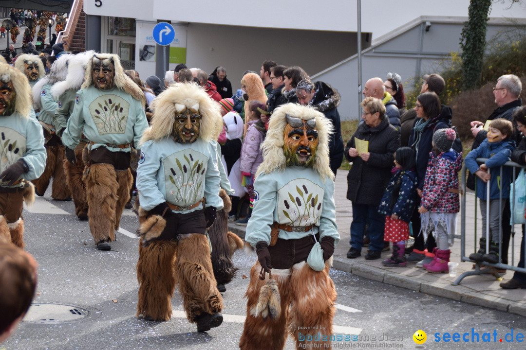 Grosser Narrensprung: Friedrichshafen am Bodensee, 02.03.2019