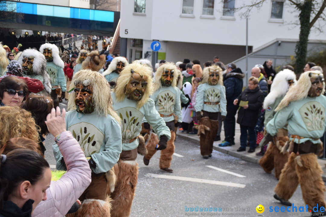 Grosser Narrensprung: Friedrichshafen am Bodensee, 02.03.2019