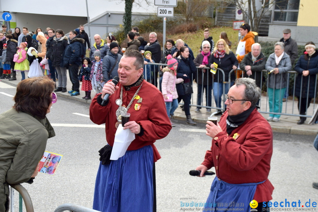 Grosser Narrensprung: Friedrichshafen am Bodensee, 02.03.2019