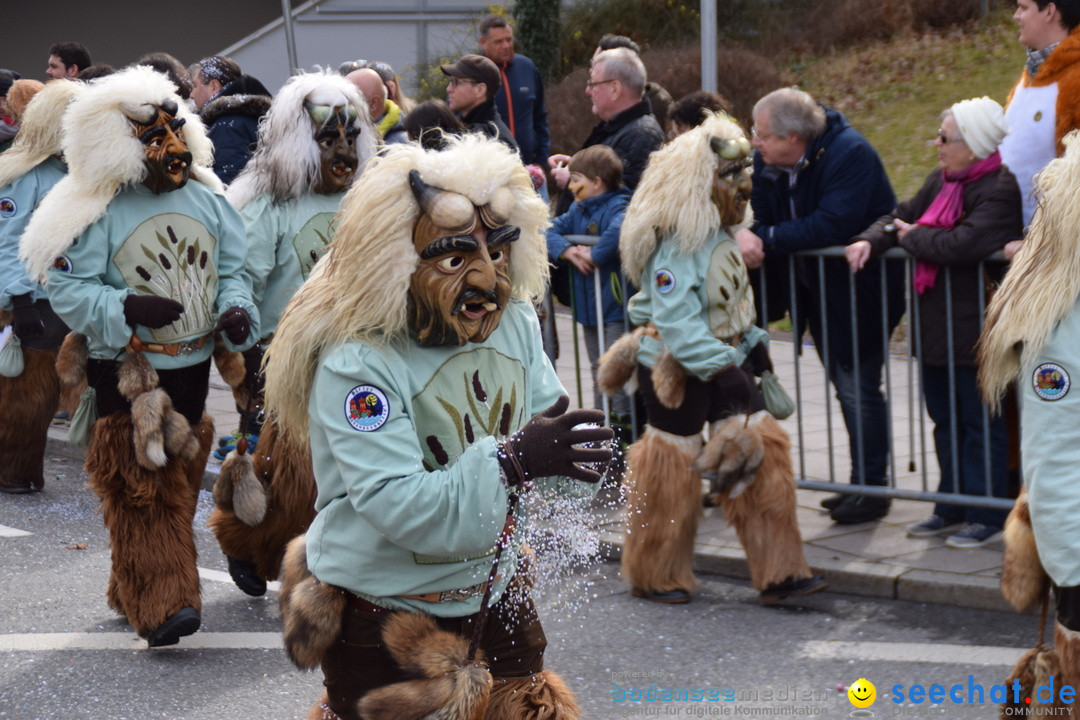 Grosser Narrensprung: Friedrichshafen am Bodensee, 02.03.2019