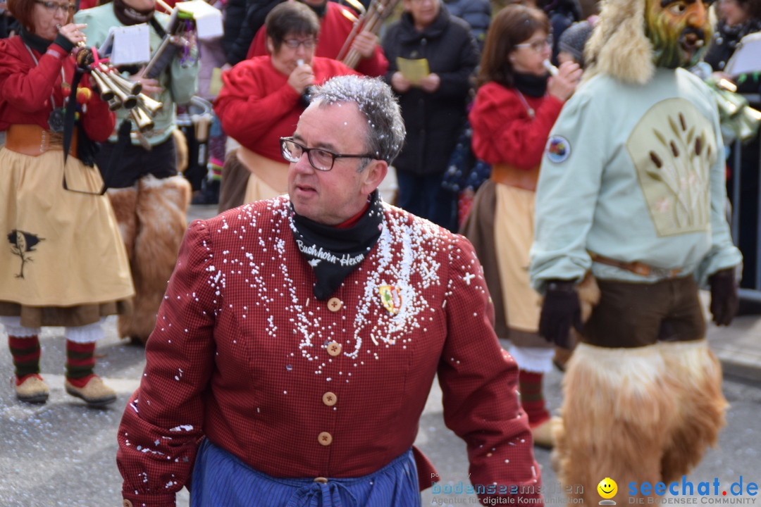 Grosser Narrensprung: Friedrichshafen am Bodensee, 02.03.2019