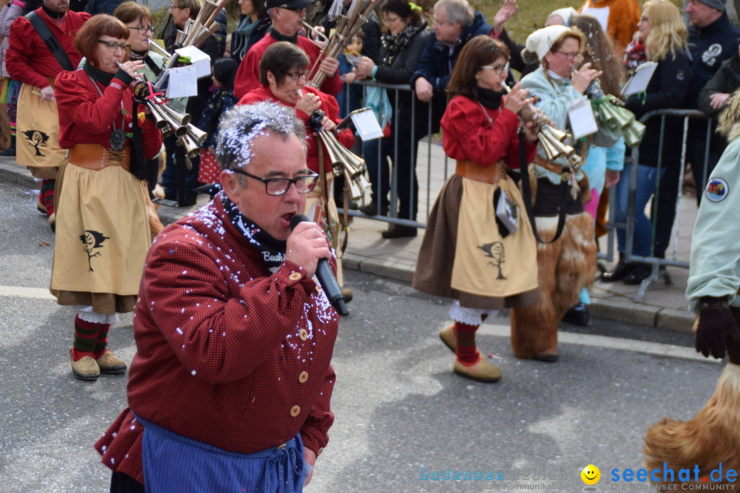 Grosser Narrensprung: Friedrichshafen am Bodensee, 02.03.2019