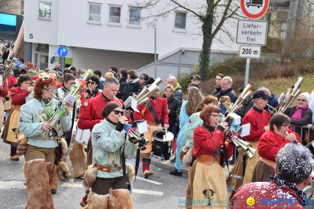 Grosser Narrensprung: Friedrichshafen am Bodensee, 02.03.2019