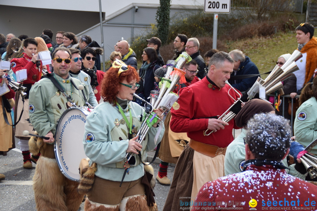 Grosser Narrensprung: Friedrichshafen am Bodensee, 02.03.2019