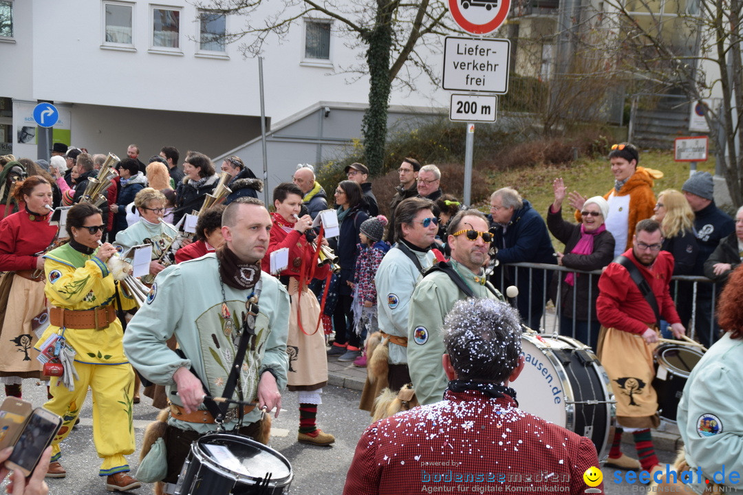 Grosser Narrensprung: Friedrichshafen am Bodensee, 02.03.2019