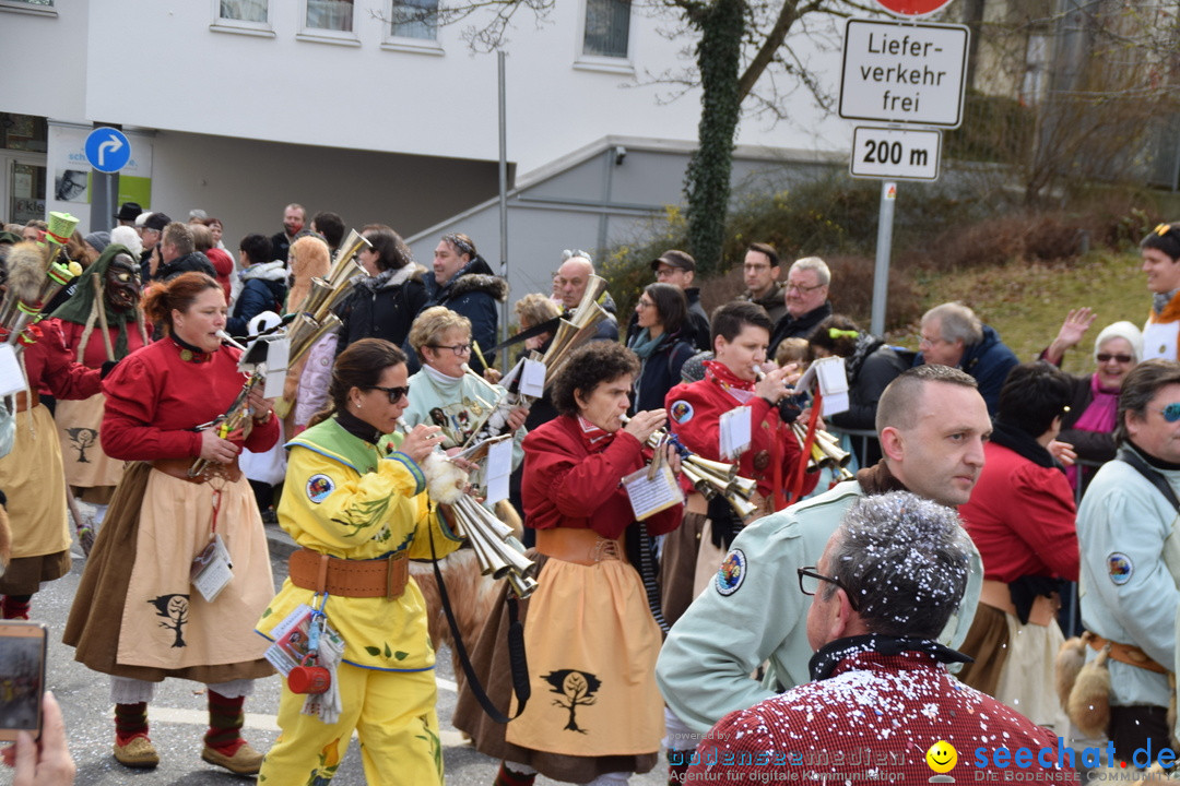 Grosser Narrensprung: Friedrichshafen am Bodensee, 02.03.2019