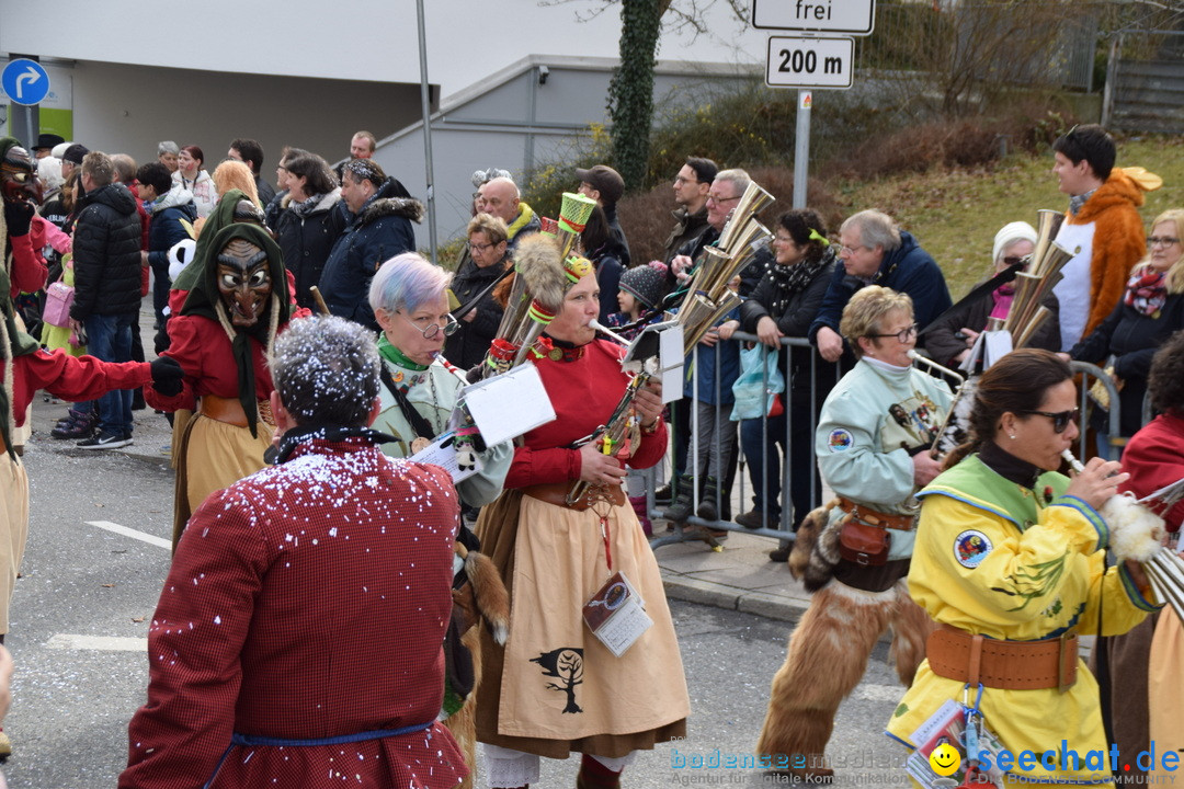 Grosser Narrensprung: Friedrichshafen am Bodensee, 02.03.2019