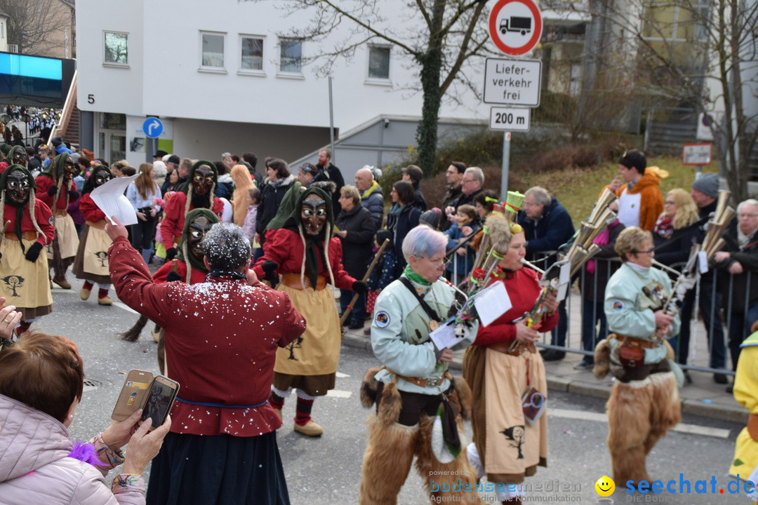 Grosser Narrensprung: Friedrichshafen am Bodensee, 02.03.2019