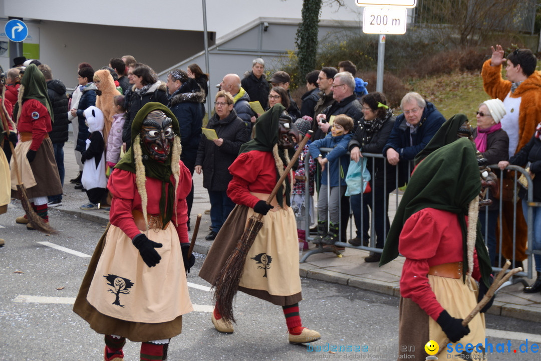 Grosser Narrensprung: Friedrichshafen am Bodensee, 02.03.2019