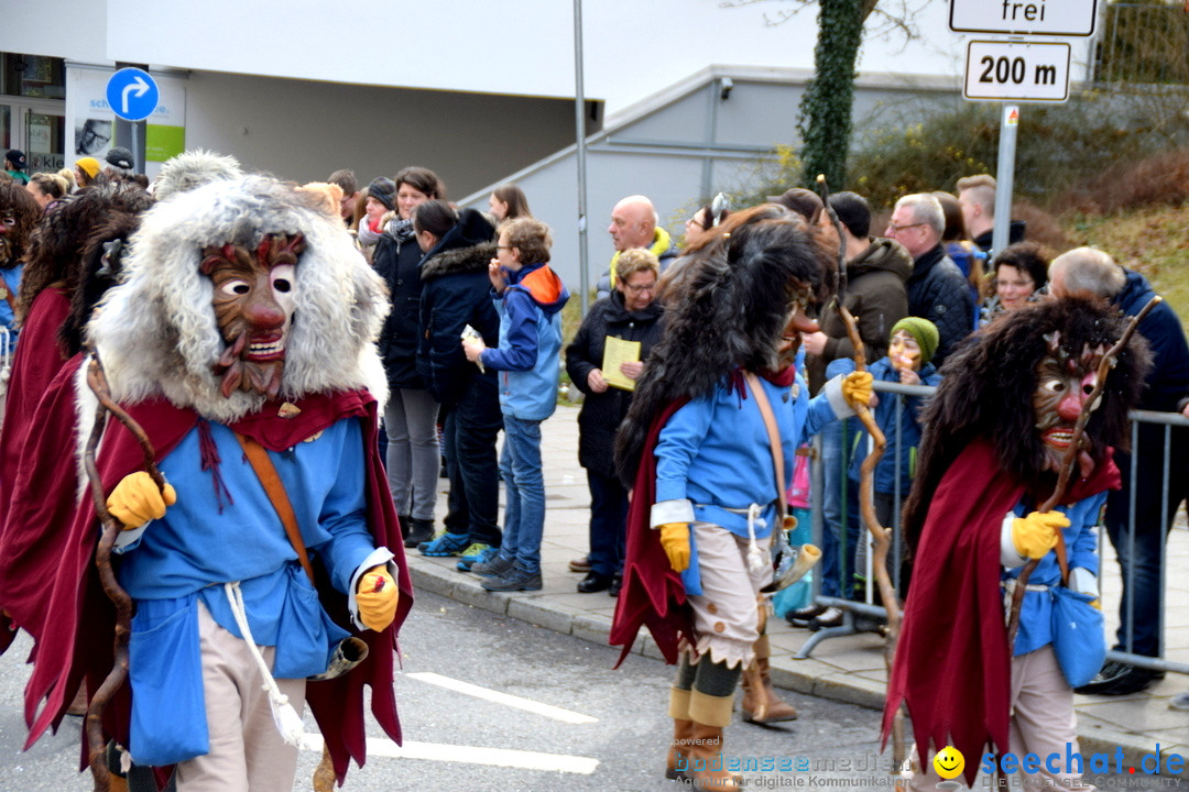 Grosser Narrensprung: Friedrichshafen am Bodensee, 02.03.2019