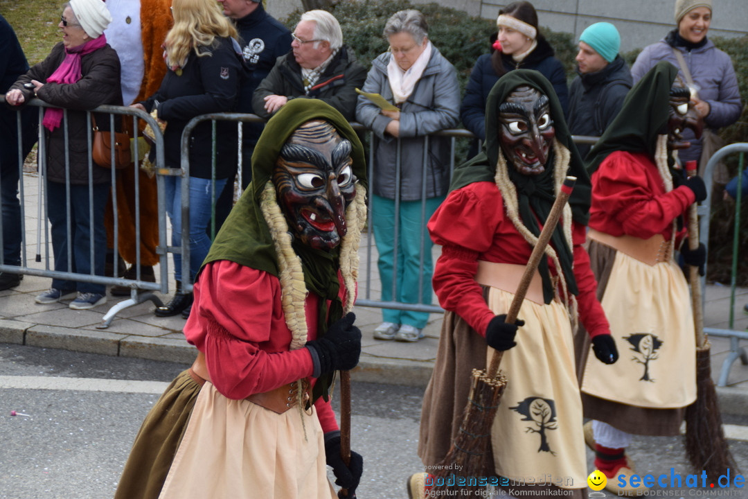 Grosser Narrensprung: Friedrichshafen am Bodensee, 02.03.2019