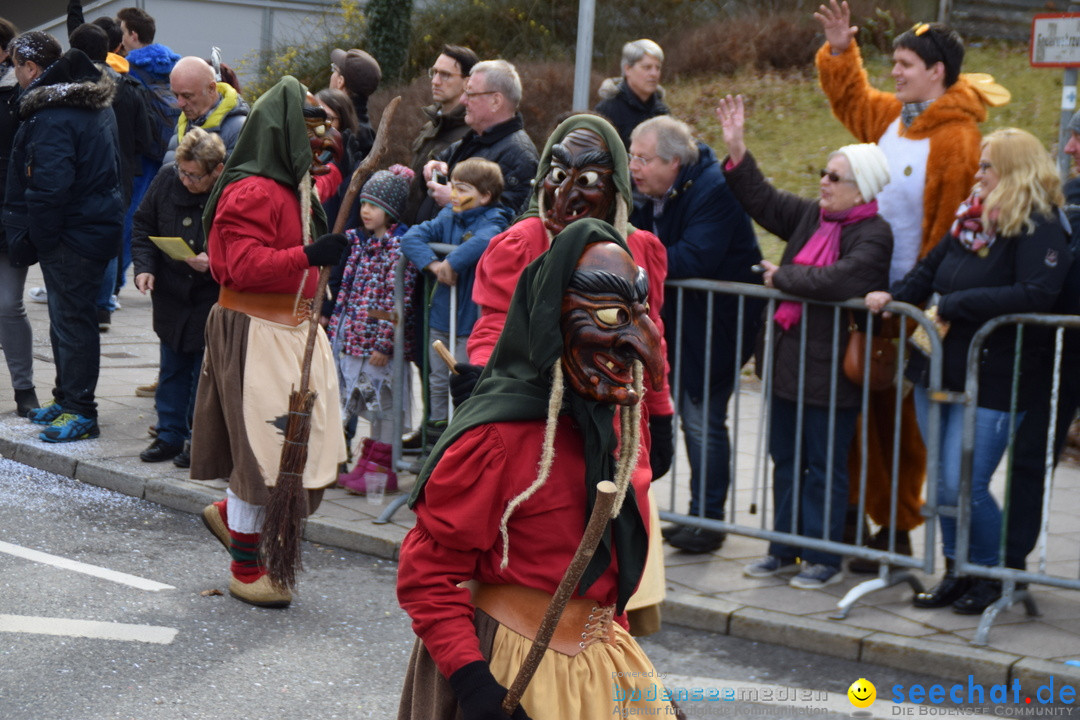 Grosser Narrensprung: Friedrichshafen am Bodensee, 02.03.2019