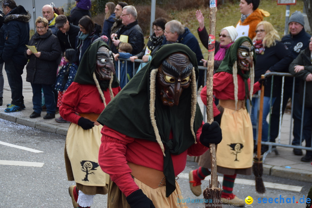 Grosser Narrensprung: Friedrichshafen am Bodensee, 02.03.2019