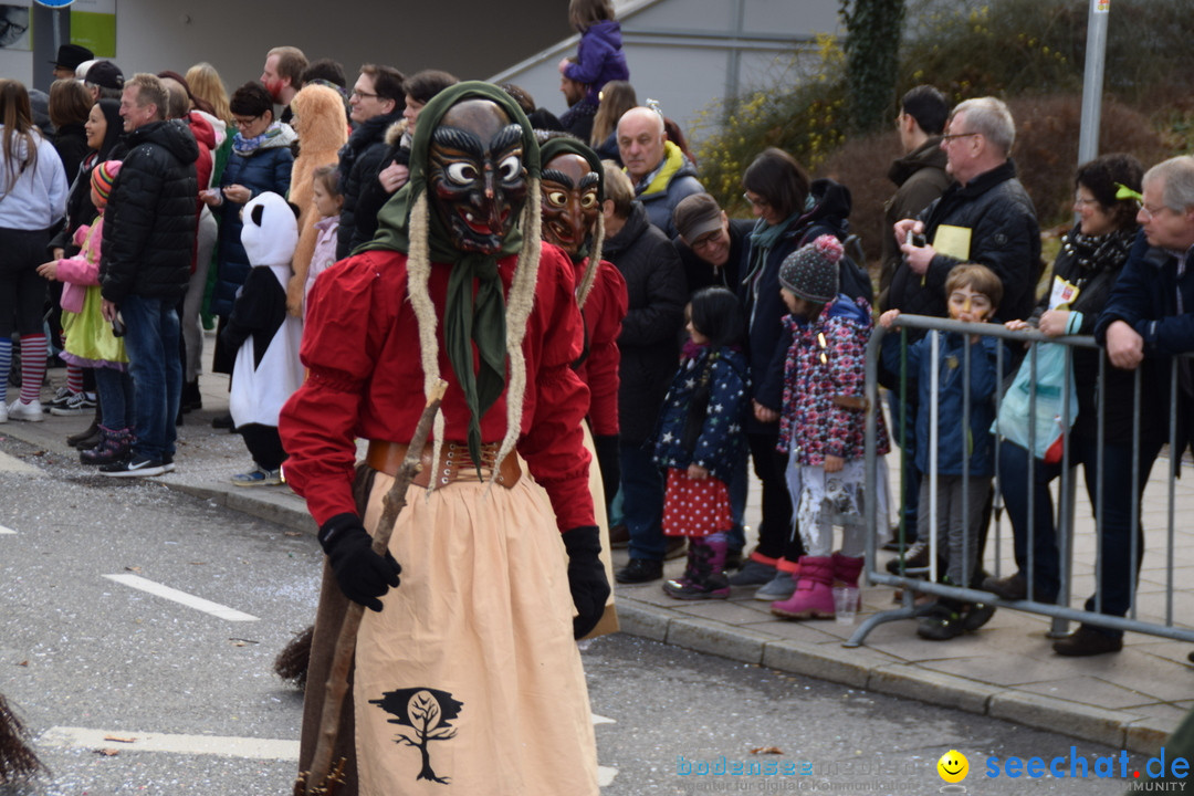 Grosser Narrensprung: Friedrichshafen am Bodensee, 02.03.2019