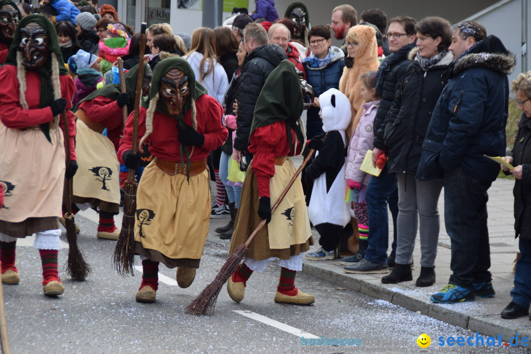 Grosser Narrensprung: Friedrichshafen am Bodensee, 02.03.2019