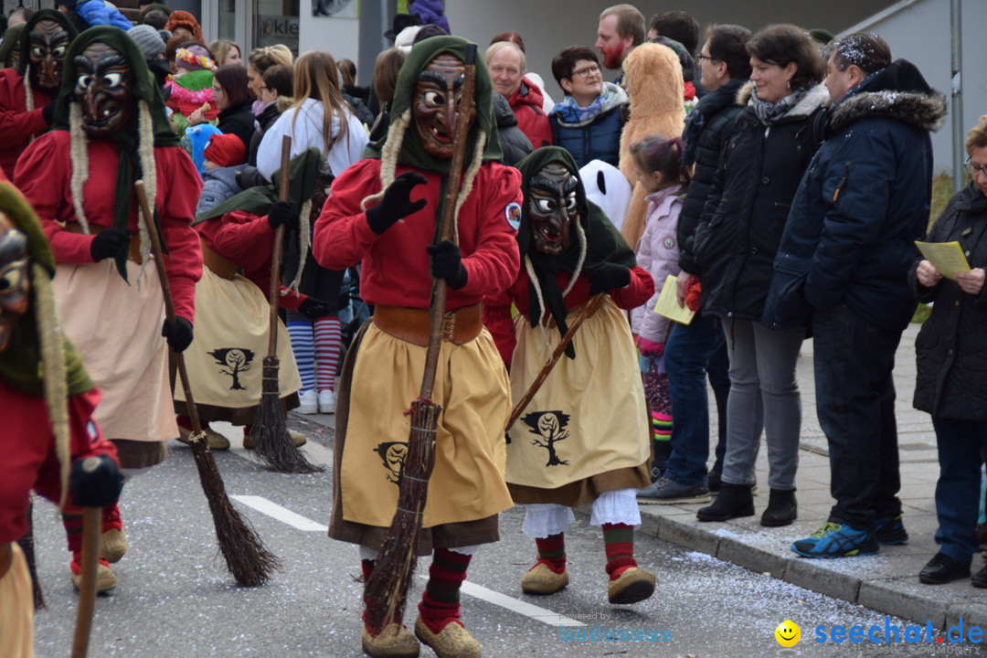 Grosser Narrensprung: Friedrichshafen am Bodensee, 02.03.2019