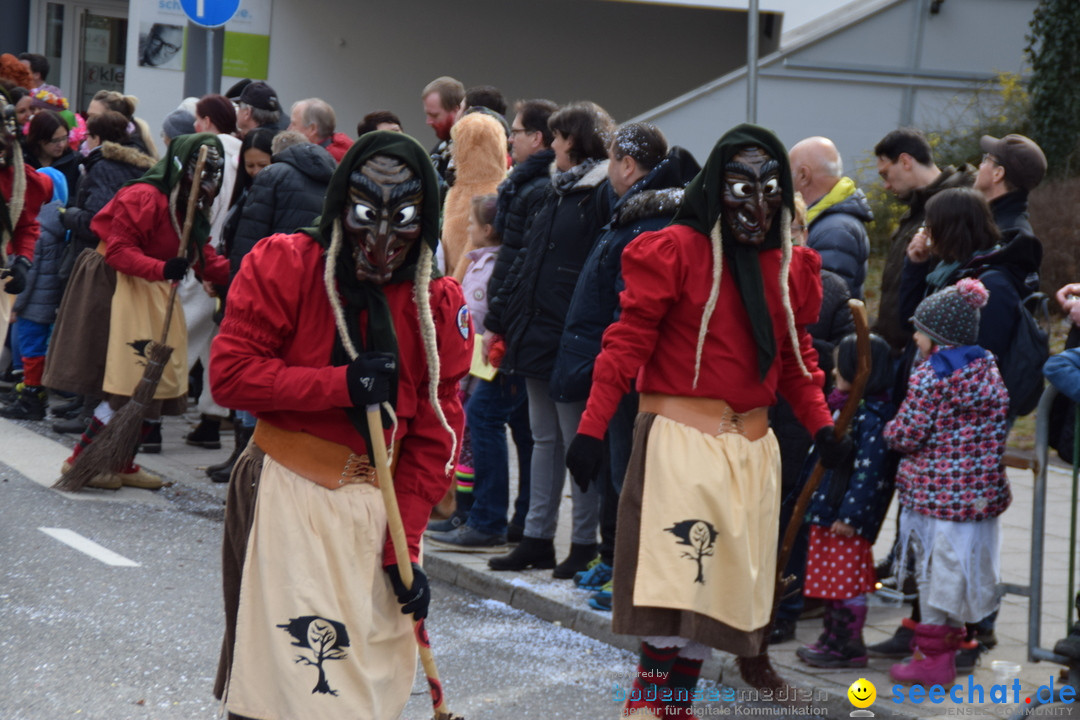 Grosser Narrensprung: Friedrichshafen am Bodensee, 02.03.2019