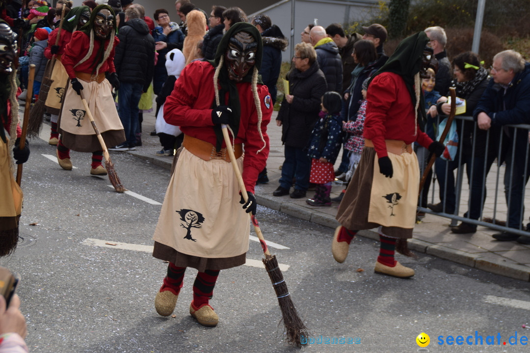 Grosser Narrensprung: Friedrichshafen am Bodensee, 02.03.2019