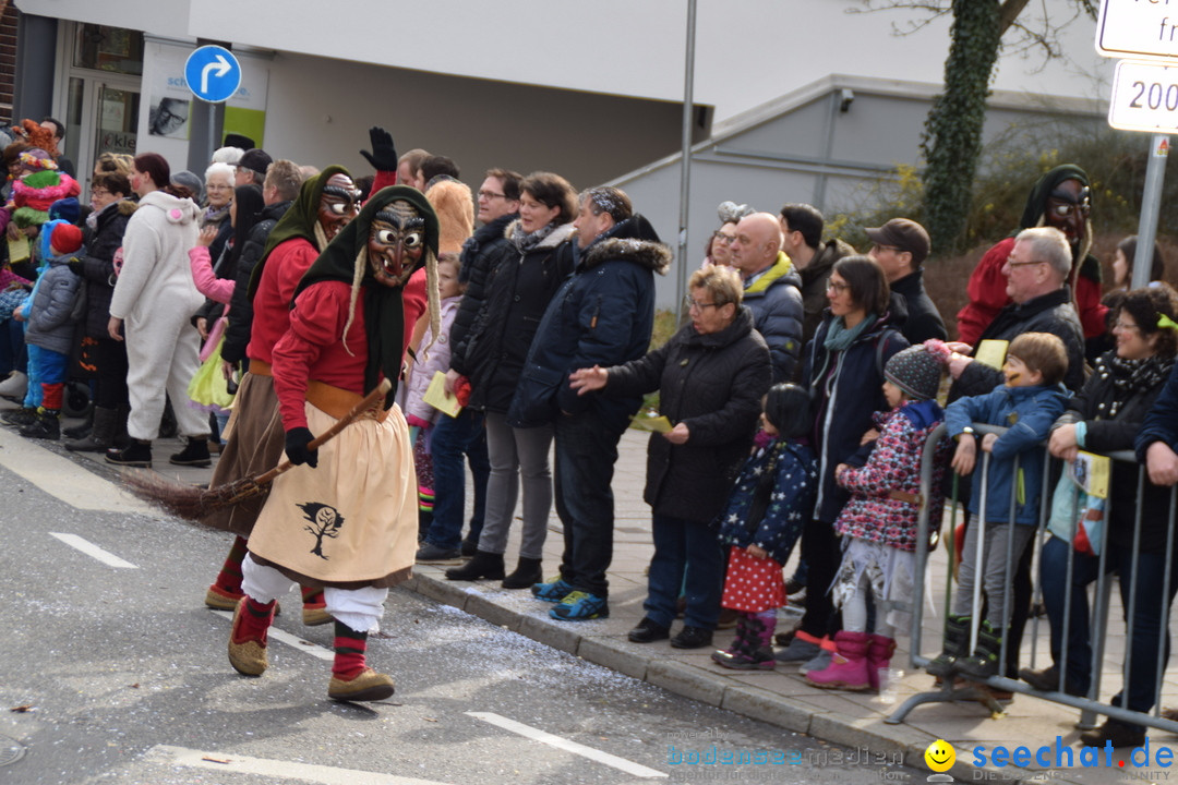 Grosser Narrensprung: Friedrichshafen am Bodensee, 02.03.2019