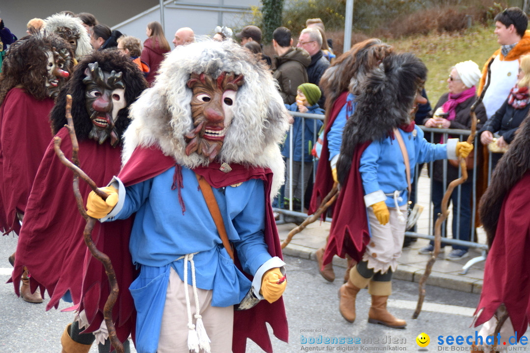 Grosser Narrensprung: Friedrichshafen am Bodensee, 02.03.2019