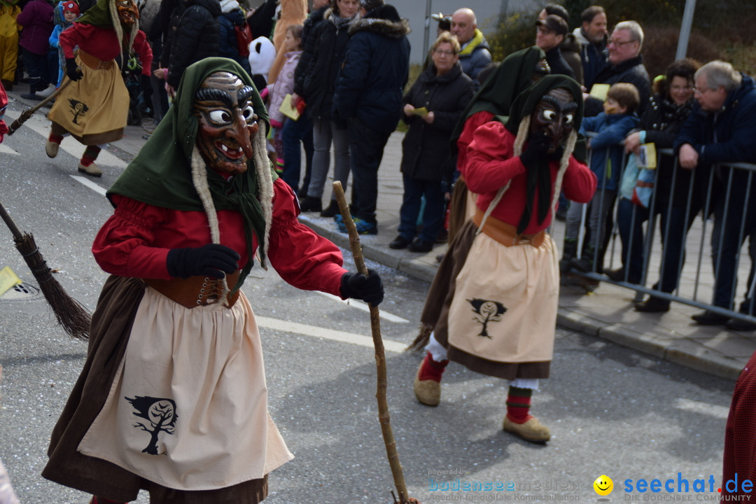 Grosser Narrensprung: Friedrichshafen am Bodensee, 02.03.2019