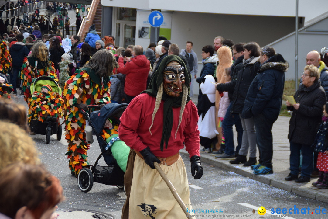 Grosser Narrensprung: Friedrichshafen am Bodensee, 02.03.2019