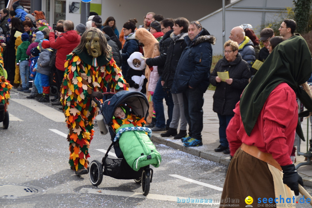 Grosser Narrensprung: Friedrichshafen am Bodensee, 02.03.2019