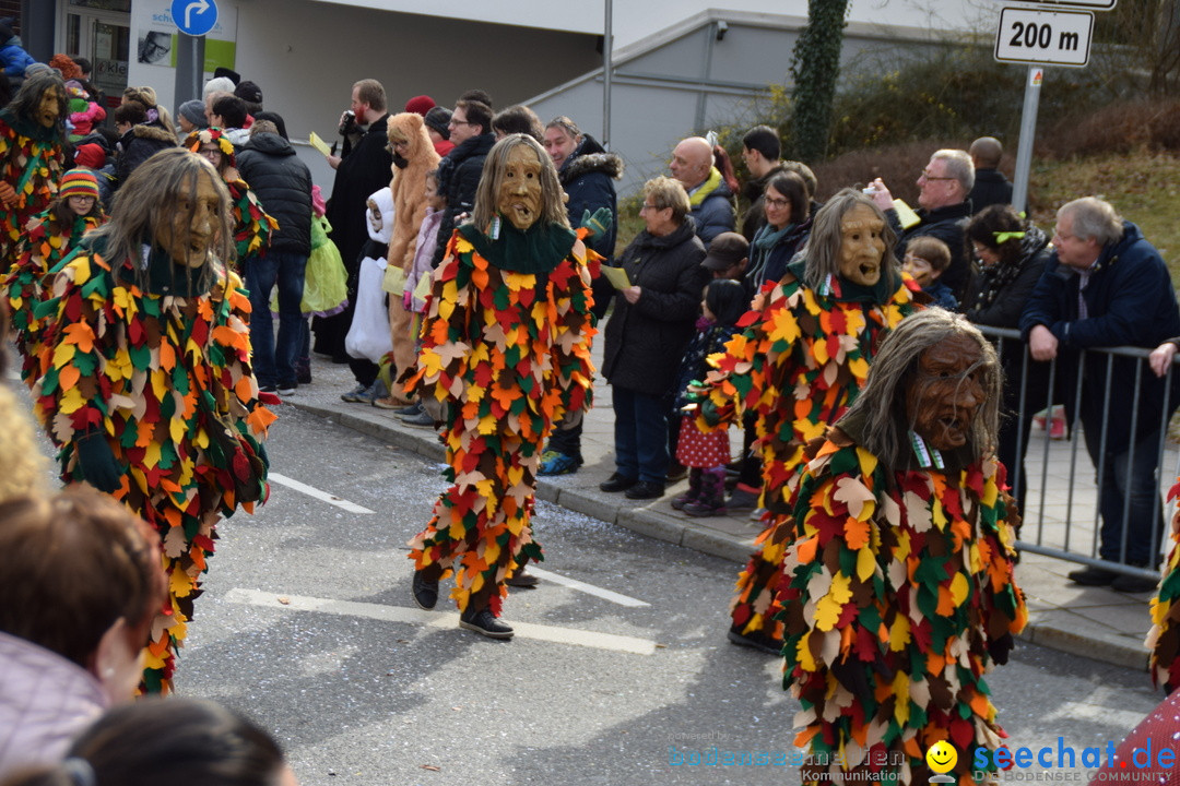 Grosser Narrensprung: Friedrichshafen am Bodensee, 02.03.2019