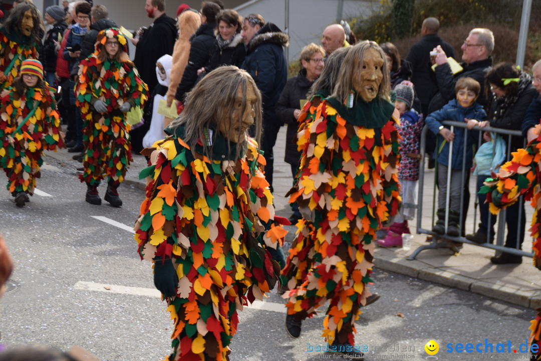 Grosser Narrensprung: Friedrichshafen am Bodensee, 02.03.2019