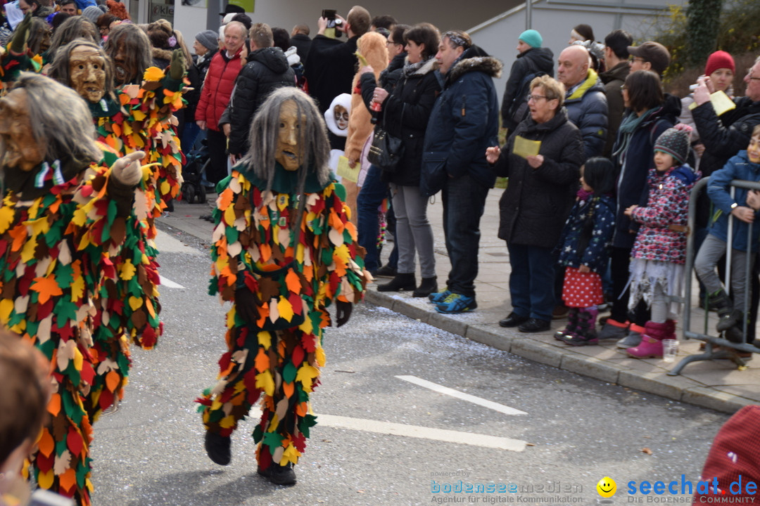 Grosser Narrensprung: Friedrichshafen am Bodensee, 02.03.2019