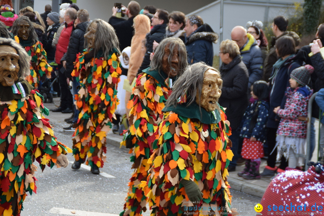 Grosser Narrensprung: Friedrichshafen am Bodensee, 02.03.2019