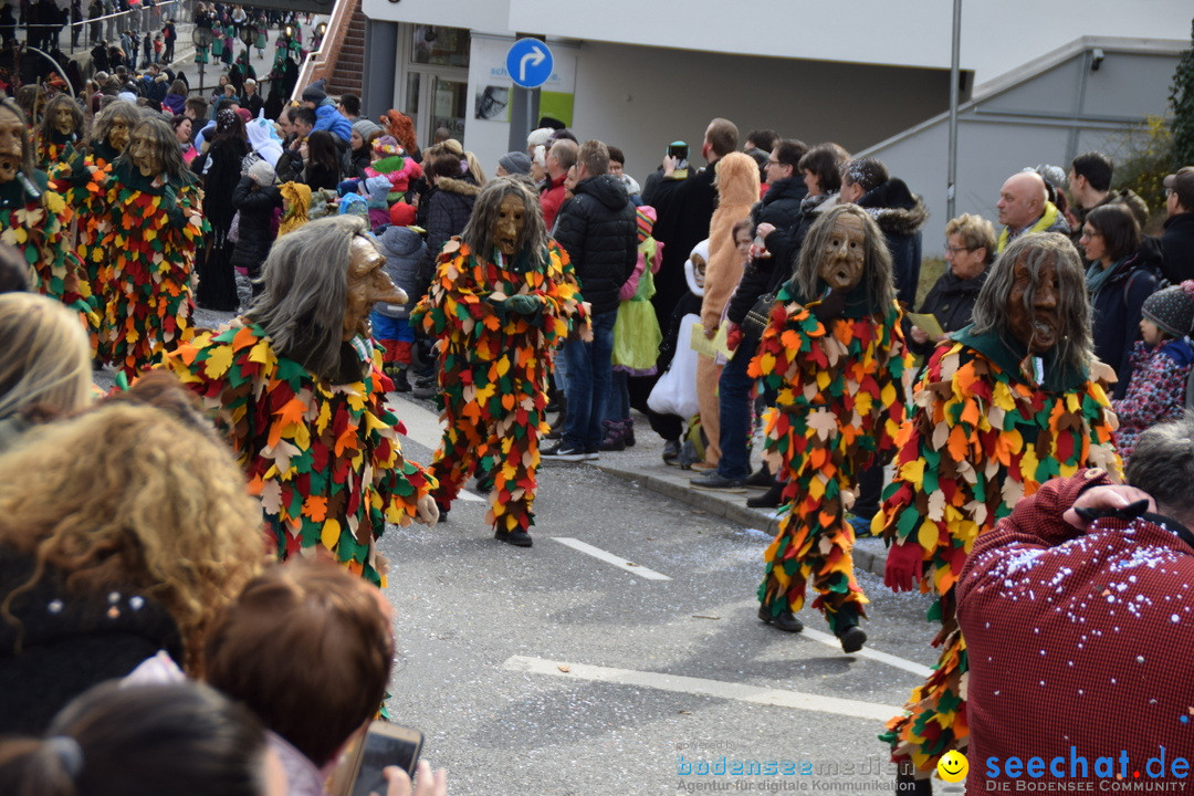 Grosser Narrensprung: Friedrichshafen am Bodensee, 02.03.2019