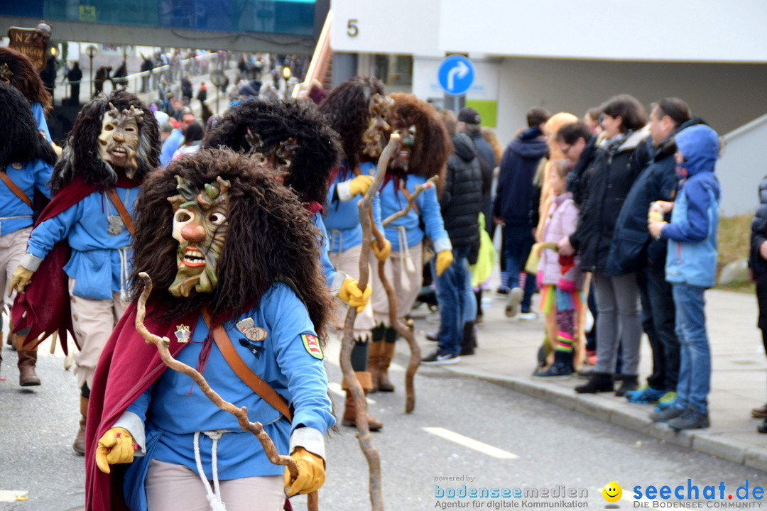 Grosser Narrensprung: Friedrichshafen am Bodensee, 02.03.2019