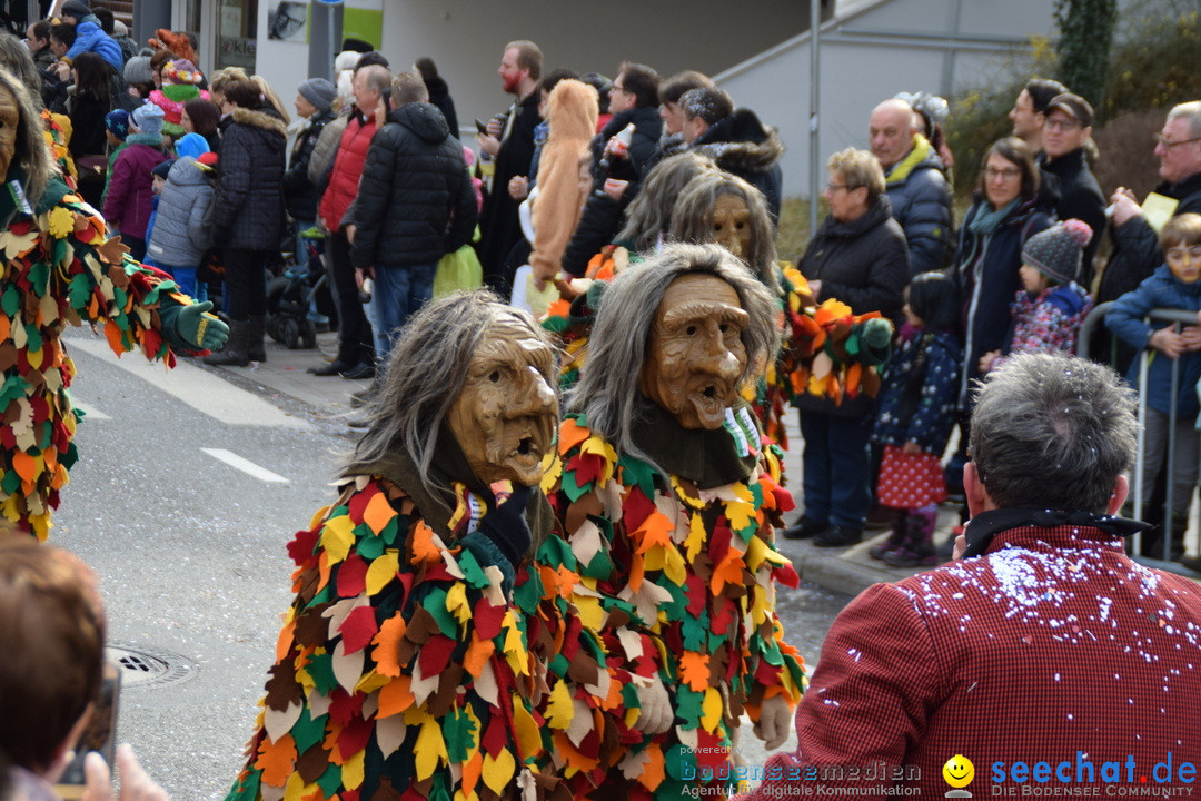 Grosser Narrensprung: Friedrichshafen am Bodensee, 02.03.2019