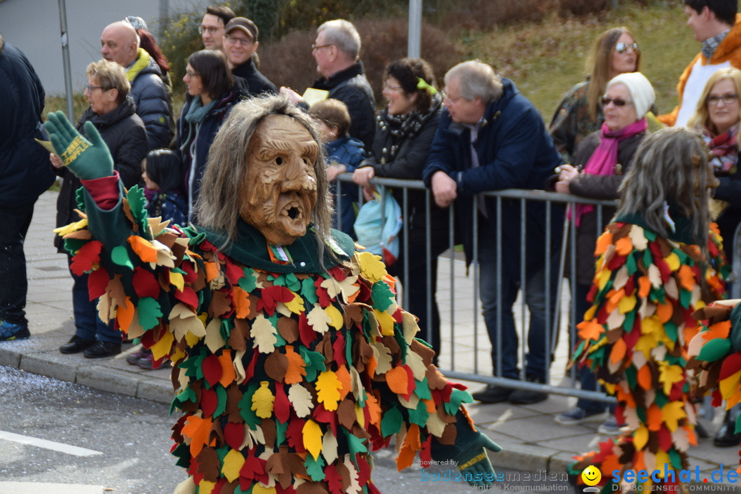 Grosser Narrensprung: Friedrichshafen am Bodensee, 02.03.2019