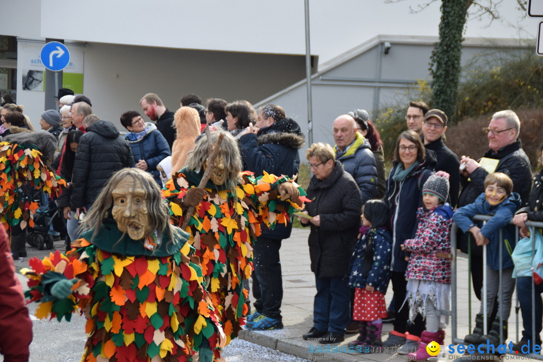 Grosser Narrensprung: Friedrichshafen am Bodensee, 02.03.2019