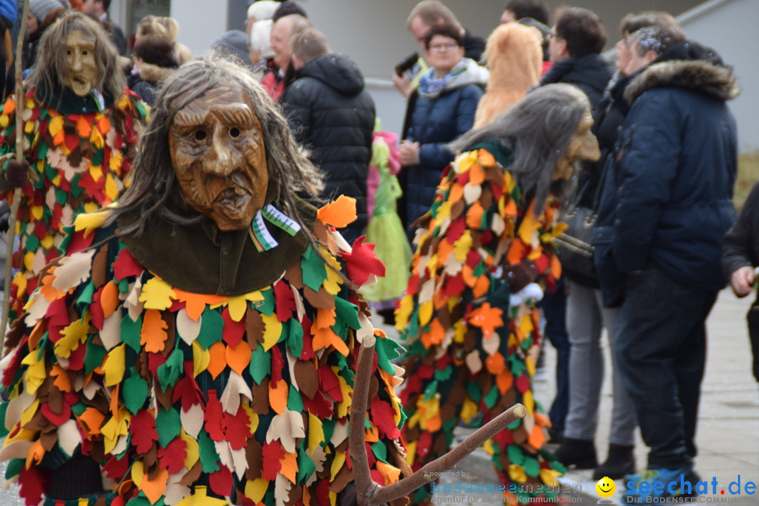 Grosser Narrensprung: Friedrichshafen am Bodensee, 02.03.2019