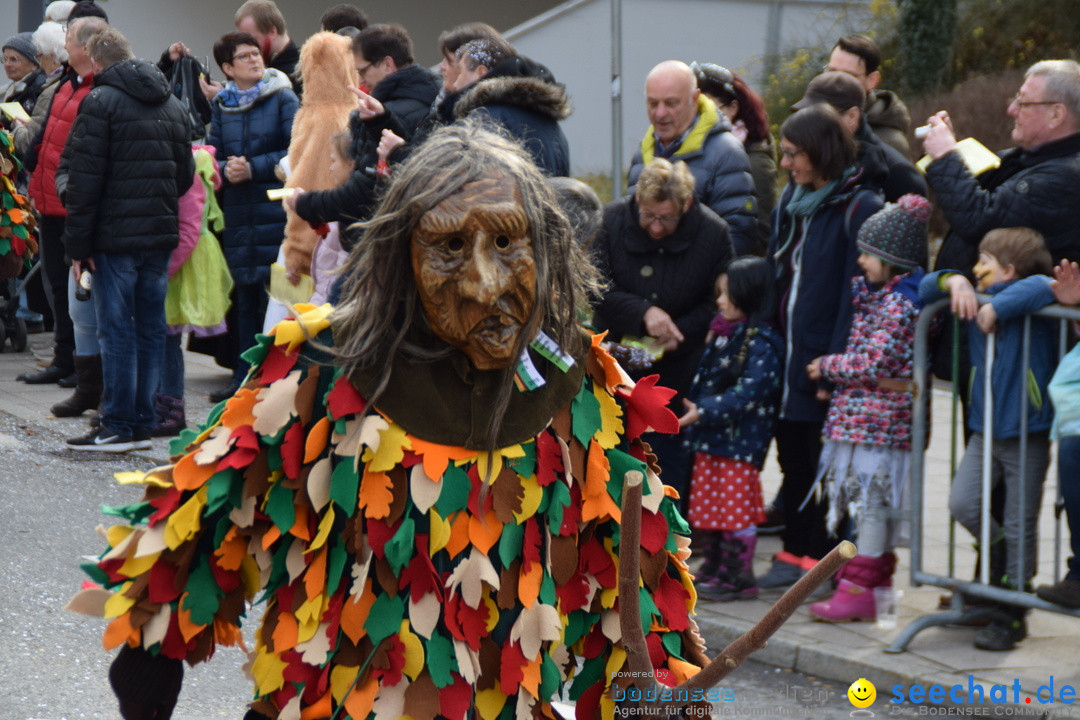 Grosser Narrensprung: Friedrichshafen am Bodensee, 02.03.2019