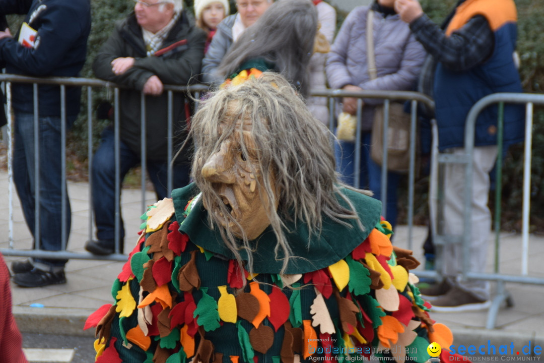 Grosser Narrensprung: Friedrichshafen am Bodensee, 02.03.2019