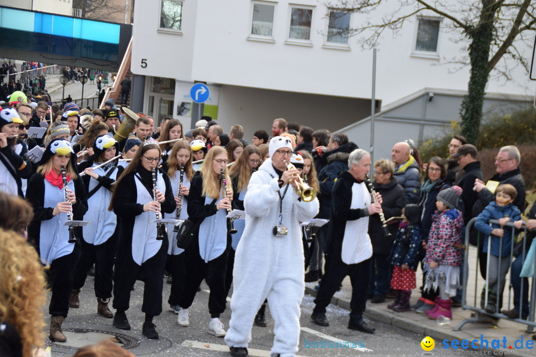 Grosser Narrensprung: Friedrichshafen am Bodensee, 02.03.2019