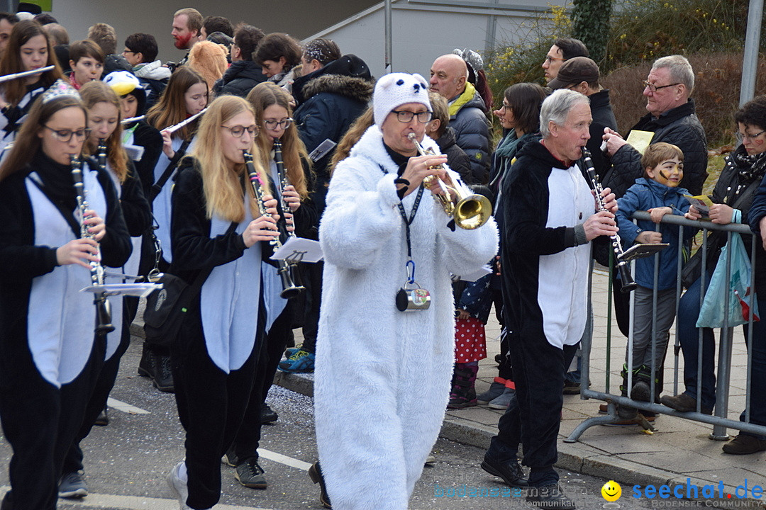 Grosser Narrensprung: Friedrichshafen am Bodensee, 02.03.2019