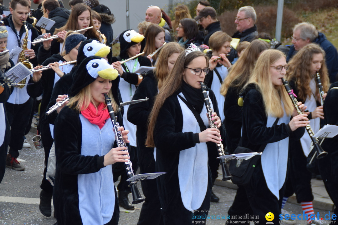 Grosser Narrensprung: Friedrichshafen am Bodensee, 02.03.2019