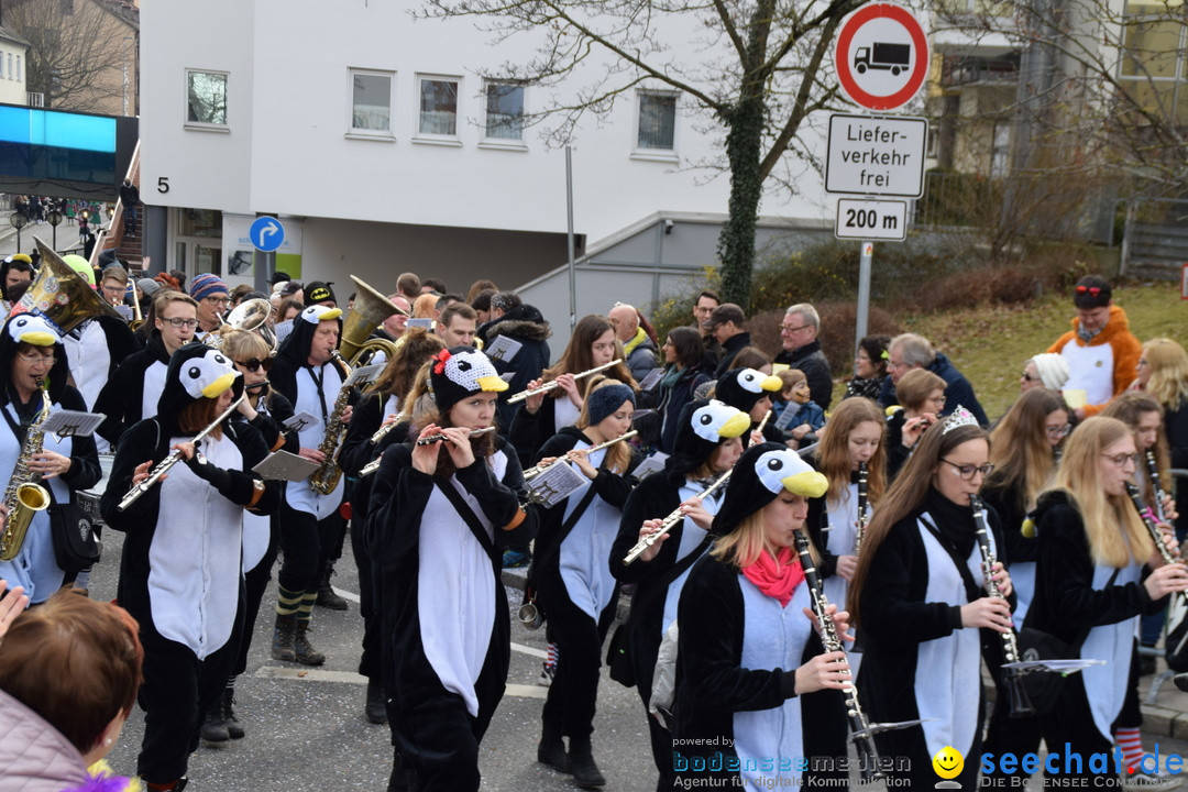 Grosser Narrensprung: Friedrichshafen am Bodensee, 02.03.2019