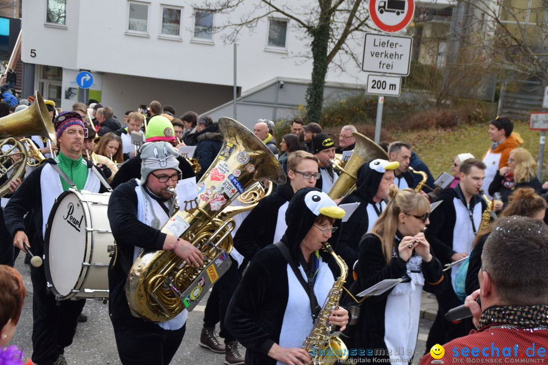 Grosser Narrensprung: Friedrichshafen am Bodensee, 02.03.2019