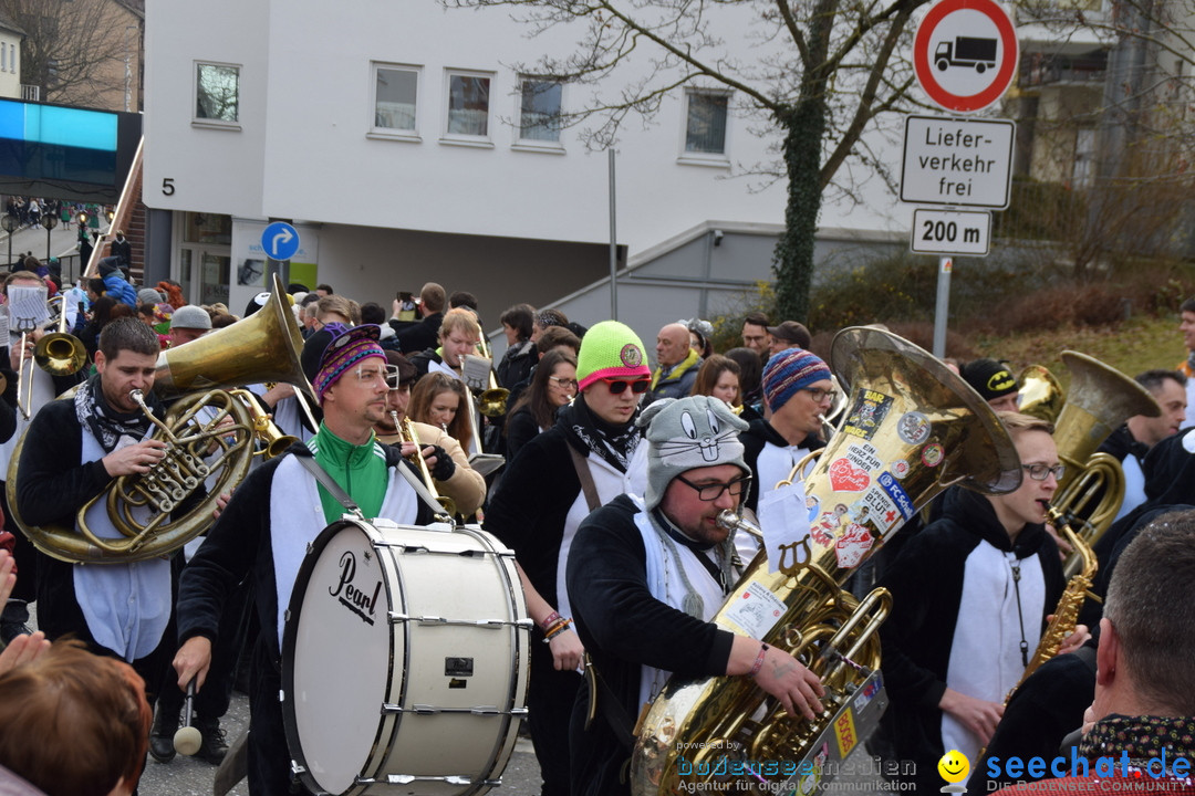 Grosser Narrensprung: Friedrichshafen am Bodensee, 02.03.2019