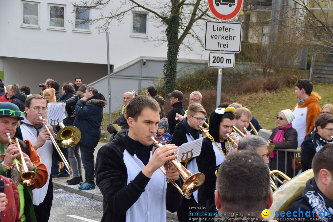 Grosser Narrensprung: Friedrichshafen am Bodensee, 02.03.2019