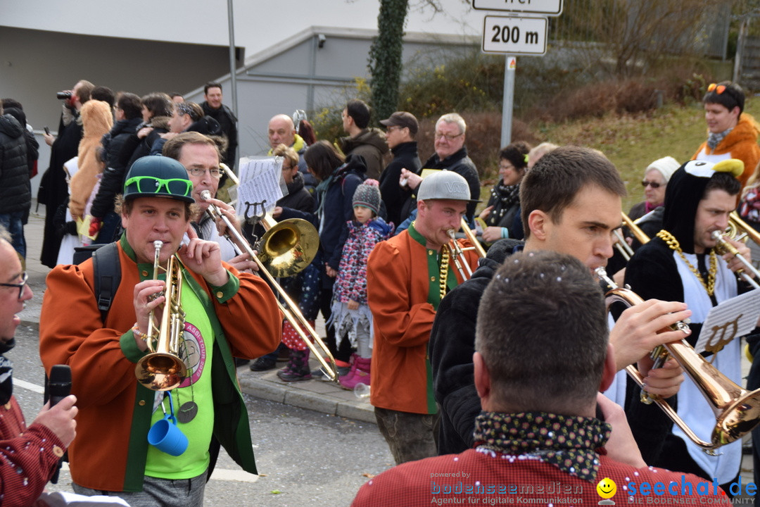 Grosser Narrensprung: Friedrichshafen am Bodensee, 02.03.2019