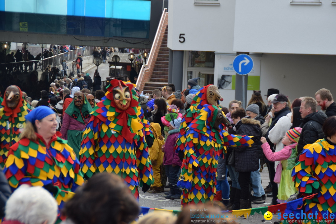 Grosser Narrensprung: Friedrichshafen am Bodensee, 02.03.2019