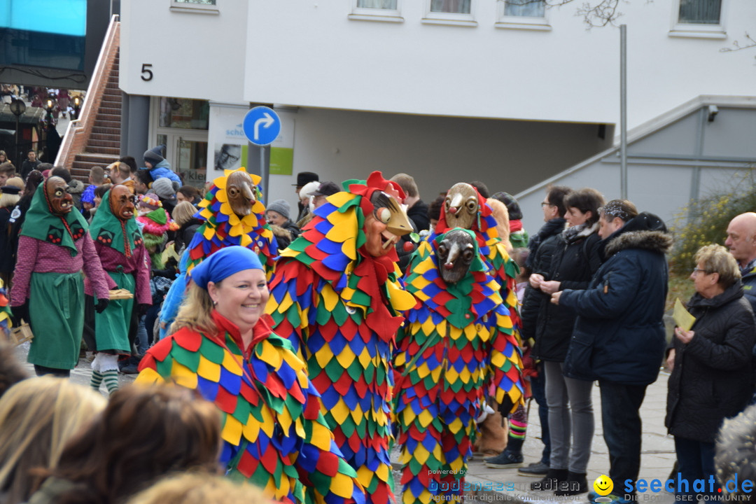 Grosser Narrensprung: Friedrichshafen am Bodensee, 02.03.2019